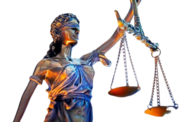 Lawyer